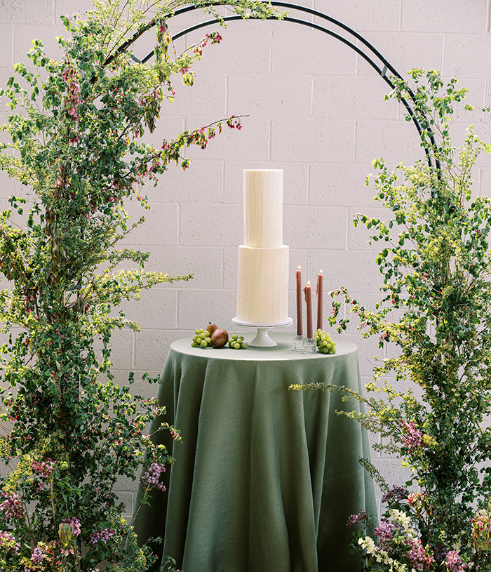 Amanda Nippoldt Photography